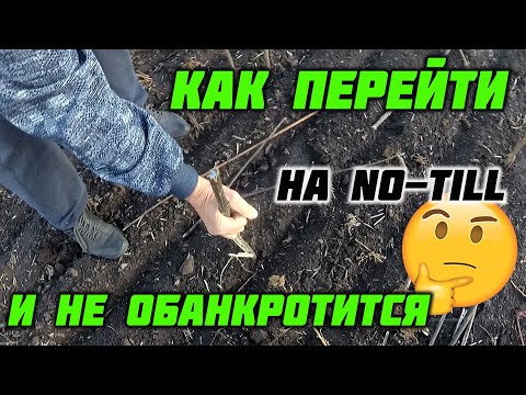 Видео: Переход с классики на No-Till часть3.1.  Прямой посев по подсолнечнику