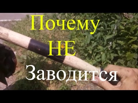 Видео: Почему не заводится скутер, Honda Lead 90!