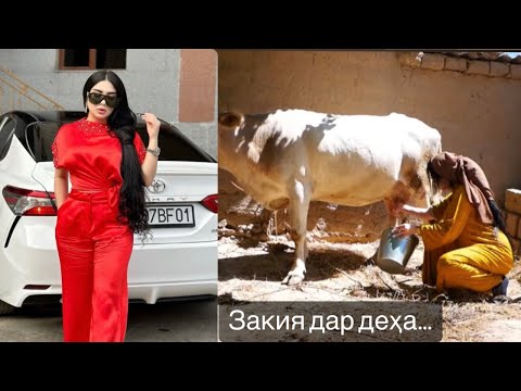 Видео: ЗАКИЯ дар Қишлоқ “Бонуи Пурҳунар”