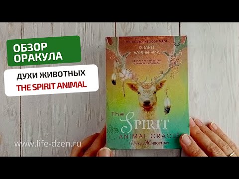 Видео: Обзор Оракула Духи Животных, The Spirit Animal Oracle, издательство Эксмо