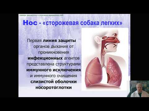 Видео: Фармакология системы дыхания (профессор Мамчур В.И.)