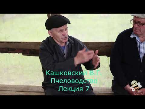 Видео: Кашковский В.Г. пчеловодство лекция 7