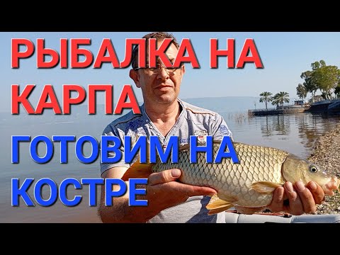 Видео: РЫБАЛКА НА КАРПА. ГОТОВИМ НА КОСТРЕ