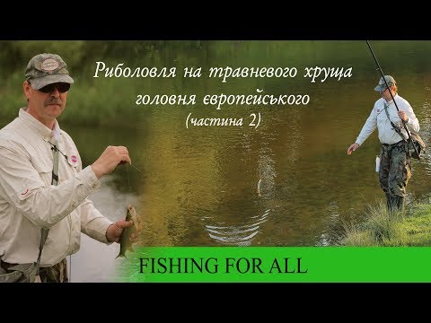 Видео: Риболовля на травневого хруща головня європейського (част.2)| Голавль на майского жука (ч.2)