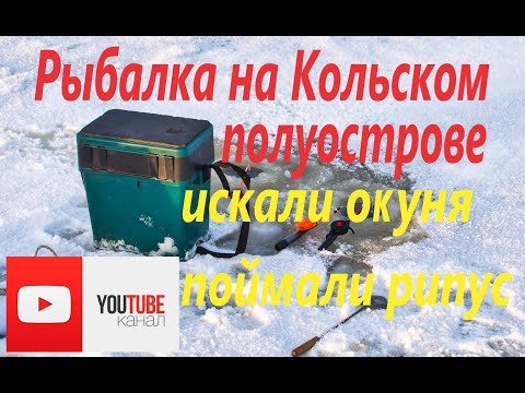 Видео: Рыбалка на Кольском полуострове. В поисках окуня.