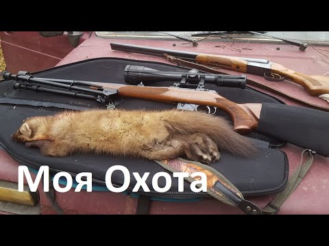 Видео: УСТАНОВКА ОПТИЧЕСКОГО ПРИЦЕЛА. ВАЖНО! СЕКРЕТ КУЧНОСТИ