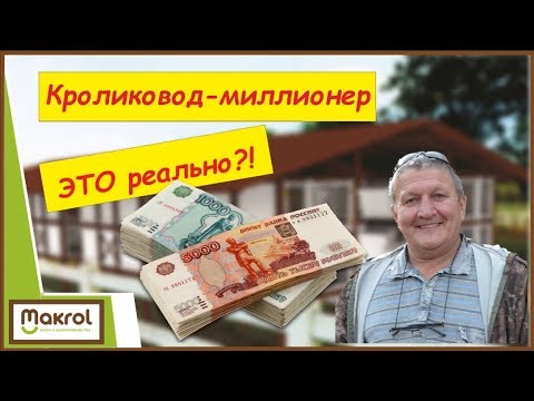 Видео: 💲Как Я Заработал Миллион На Кроликах. #МакляК #МАКРОЛ