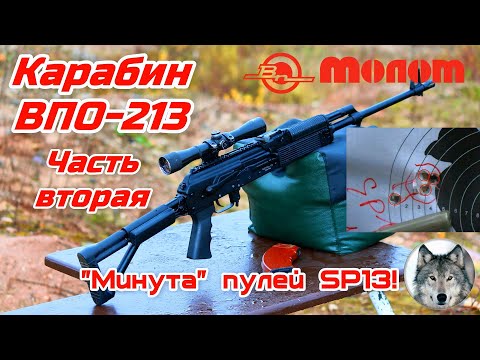 Видео: ВПО-213-20 366ТКМ - "Минутный Вепрь"! (Vepr VPO-213-20. First time 1 MOA at 100 meters!)