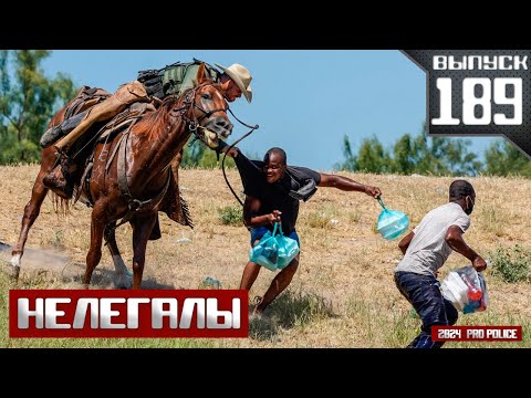 Видео: Департамент общественной безопасности Техаса: Нелегальные иммигранты [Выпуск 189 2024]
