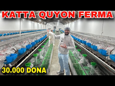 Видео: КАТТА ҚУЁН ФЕРМА 30 МИНГДАН ОРТИҚ