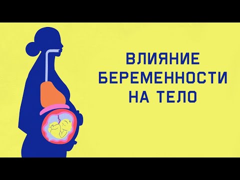 Видео: Edu: Удивительные изменения тела во время беременности