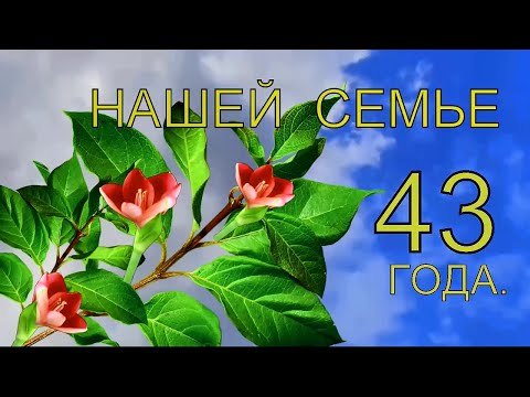 Видео: 43 года  Рука об руку