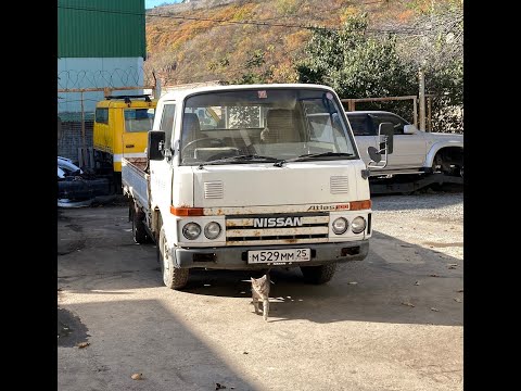 Видео: Обзор Nissan Atlas 1987, как купить старый грузовик в 2021 году?