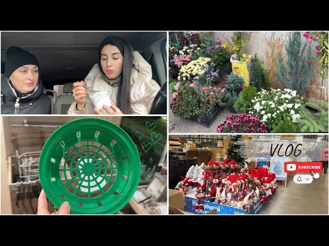 Видео: Наше рабочее утро | Новые покупки для сада 🌿 корзинки для луковичных 🧅🌷