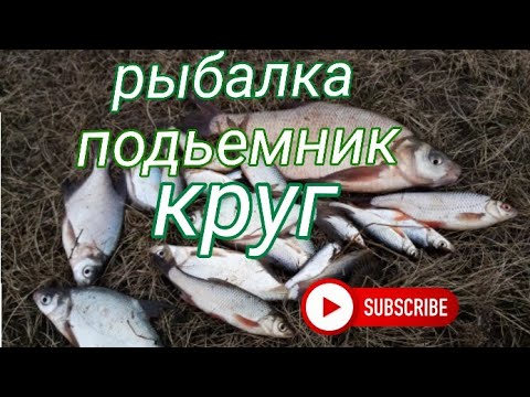 Видео: Рыбалка. Подъёмник (круг). Алтайский край река Чумыш.