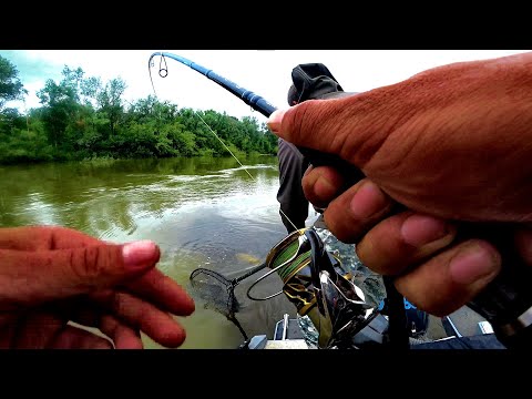 Видео: ТОЛЬКО НЕ УПУСТИ ЕГО..............Рыбалка на Алтае в очень большую воду! Джиг,воблеры,щука,судак.