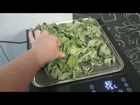 Видео: Мнение о дегидраторе Libhof FDA-10, смеси  приправ для супов и мяса. #дегидратор, #LibhofFDA-10.