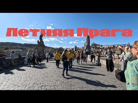 Видео: Карлов мост в 2025 году - Будни Праги