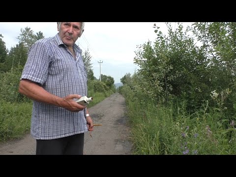 Видео: Испытание антенны Резинка