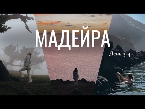 Видео: МАДЕЙРА #3 II Чудеса природы 😍 Туманный лес Фанал, Вулканические бассейны, Виноградники 