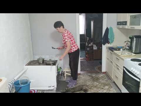 Видео: Жизнь на пенсии в ДЕРЕВНЕ 🤗/Всего помаленьку/