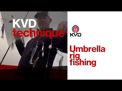Видео: KVD забрасывает зонт — советы и основные моменты ловли окуня с Кевином Ван Дамом