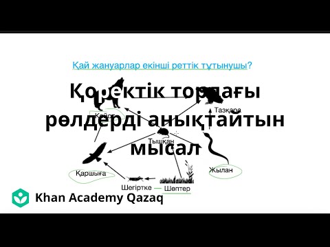 Видео: Қоректік тордағы рөлдерді анықтайтын мысал | Қазақ Хан Академия