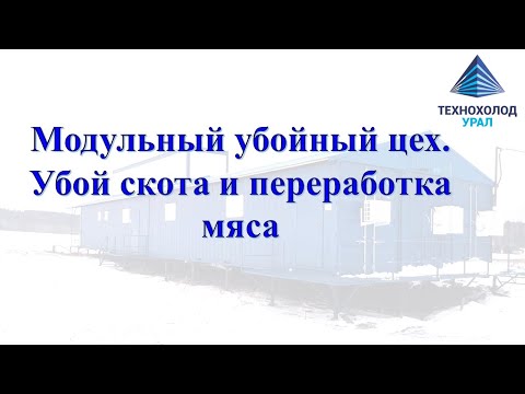 Видео: Модульный убойный цех. Убой скота. Переработка мяса