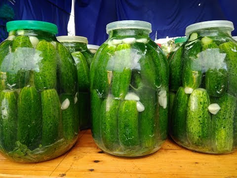 Видео: Солим огурцы. Правильно! Вкусно! Убойный рецепт! Огурцы - Легенда!