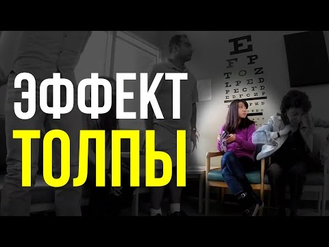 Видео: Эффект толпы - социальный эксперимент / Brain games - social conformity