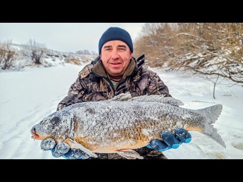 Видео: САЗАН ЕСТЬ!!! Рыбалка на хапуги зимой в Сибири. Рыбалка 2025. Хапуги для рыбалки зимой. Ловим рыбу.