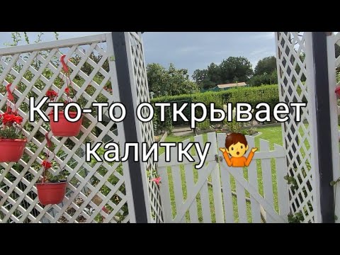 Видео: Наша Дача на севере Германии/Вот как надо прятать секатор 🤷