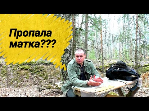 Видео: Что делать если пропала матка и нет расплода? Всё элементарно просто! Решение с трутовкой тоже есть