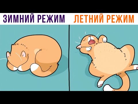 Видео: Комиксы. ЗИМНИЙ РЕЖИМ))) | Мемозг 904