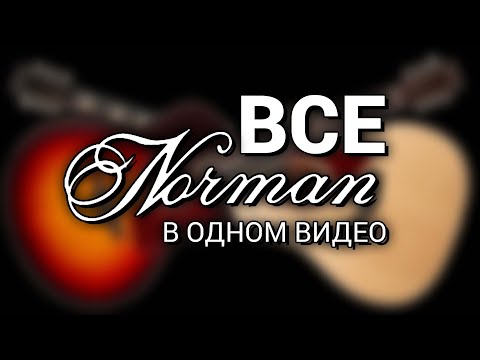 Видео: Юра Полежаев знакомится с канадскими гитарами Norman