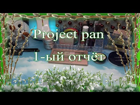 Видео: Project pan ♥ 1-ый отчёт