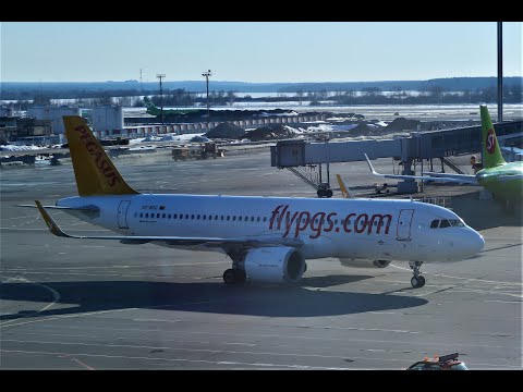 Видео: A320neo Pegasus Airlines | Рейс Москва - Стамбул