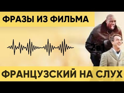 Видео: Французский на слух | Фразы на каждый день на французском  | Разговорная практика на французском 🇫🇷