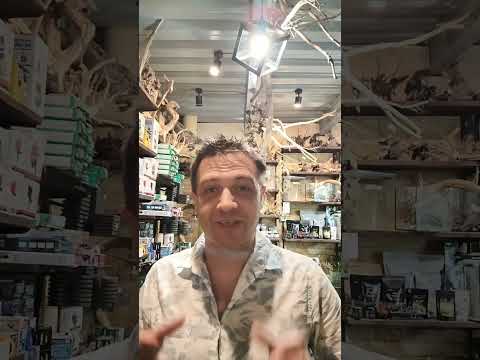 Видео: Историческая рыборазводня Шелюжко в Киеве, первыеискственные корма для аквариумных рыб HAMMONIA