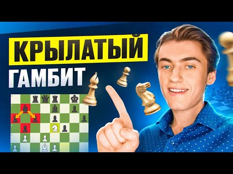 Видео: ЛУЧШИЙ гамбит за белых ПРОТИВ двух самых популярных ЗАЩИТ!