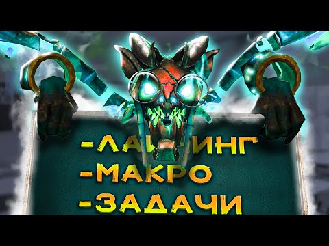 Видео: красивый парк с висажом