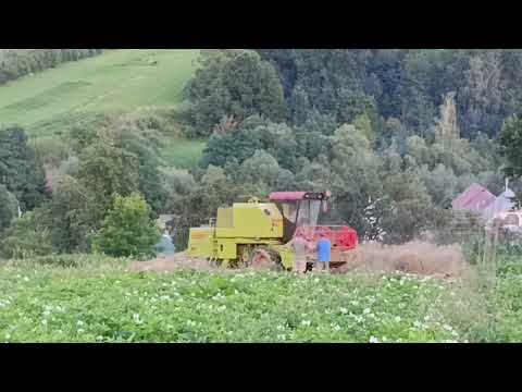 Видео: Жнива на прикарпатті 