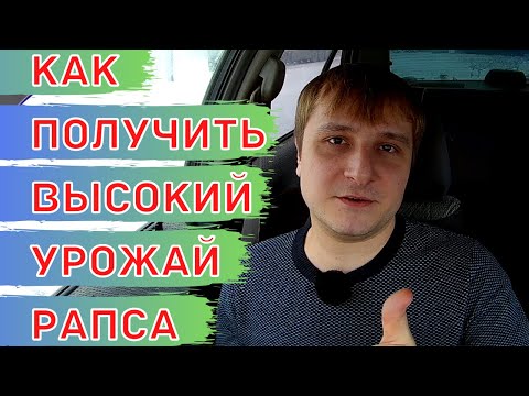 Видео: Схема минерального питания для рапса. Удобрения и листовые подкормки.