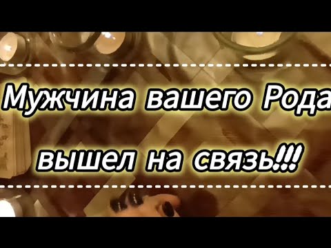 Видео: Мужчина вашего Рода вышел на связь⁉️