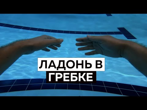 Видео: Работа кисти в плавании кролем