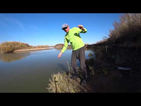 Видео: Ловля судака и окуня на закидушки.