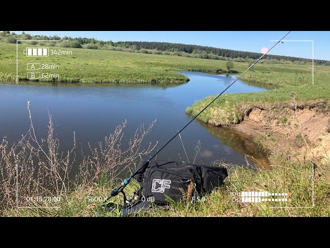 Видео: Микроречка в конце нерестового запрета. Мормышинг для настойчивых