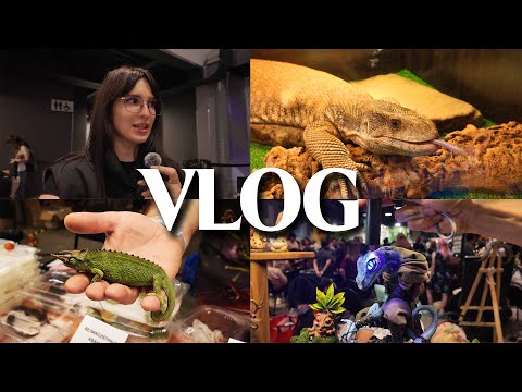 Видео: VLOG / REPTILIUM 2025: ШОК! чуть не купили ВАРАНА  / Полный Обзор / ЦЕНЫ, от которых ВЫПАДАЮТ ГЛАЗА