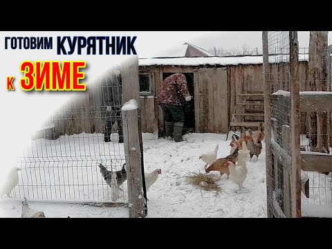 Видео: ЗАКРЫВАЕМ КУР НА ЗИМНЕЕ СОДЕРЖАНИЕ | УТЕПЛЯЕМ КУРЯТНИК