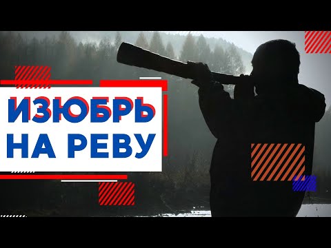 Видео: Охота на изюбря на реву | Северный Байкал | Nord Baikal